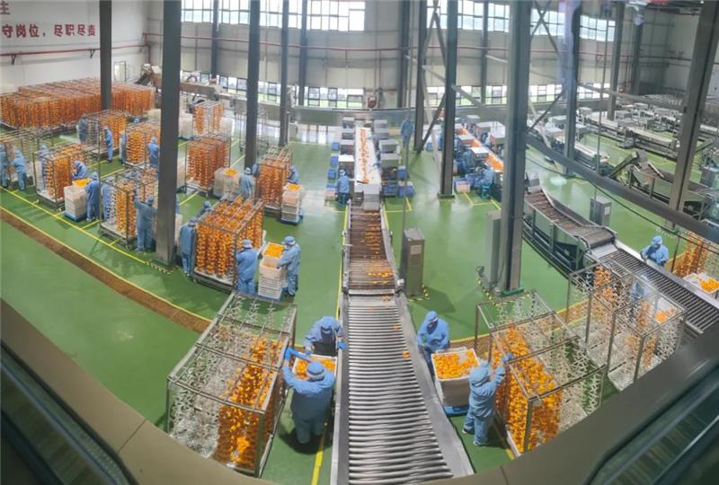 6731顶级游戏·(中国区)官方网站