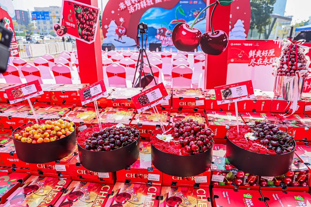6731顶级游戏·(中国区)官方网站