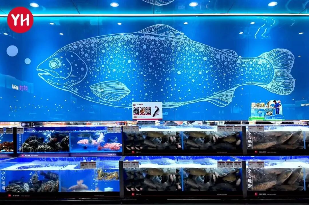 6731顶级游戏·(中国区)官方网站