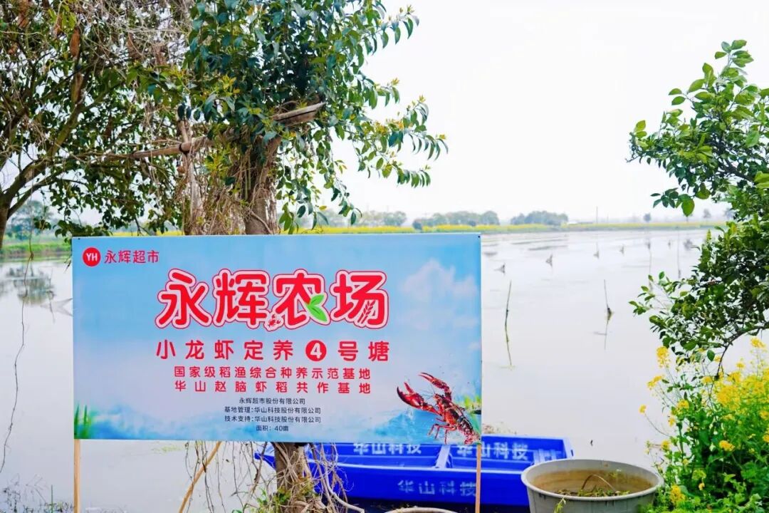 6731顶级游戏·(中国区)官方网站