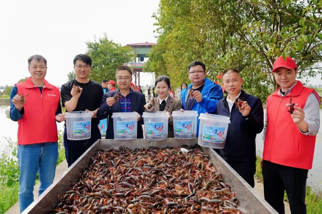 6731顶级游戏·(中国区)官方网站