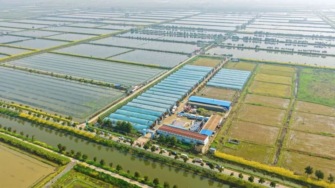 6731顶级游戏·(中国区)官方网站