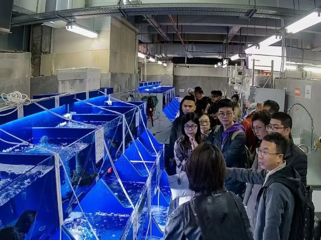 6731顶级游戏·(中国区)官方网站