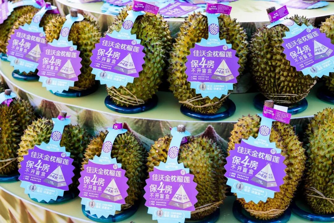 6731顶级游戏·(中国区)官方网站