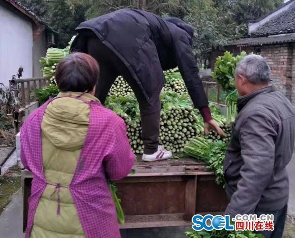 6731顶级游戏·(中国区)官方网站