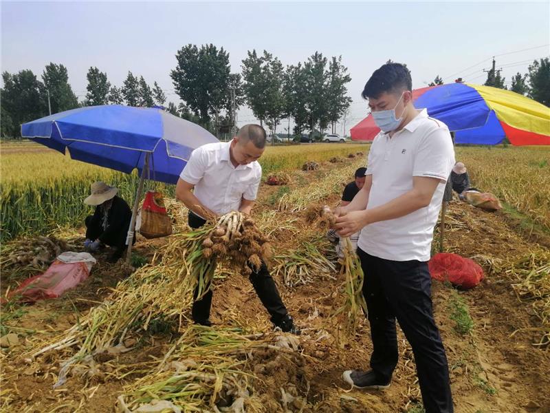 6731顶级游戏·(中国区)官方网站