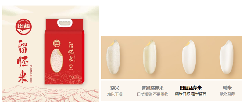 6731顶级游戏·(中国区)官方网站