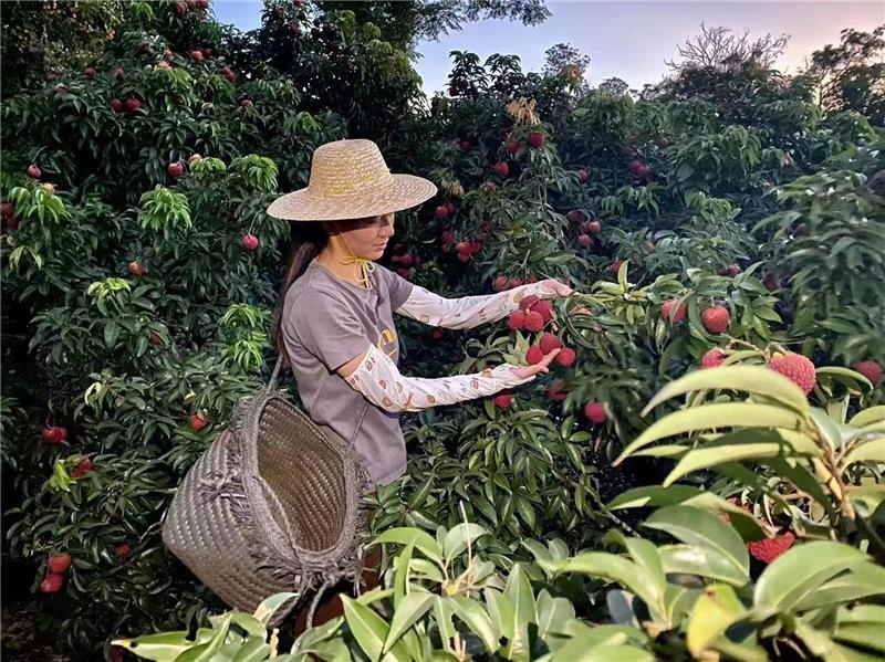 6731顶级游戏·(中国区)官方网站