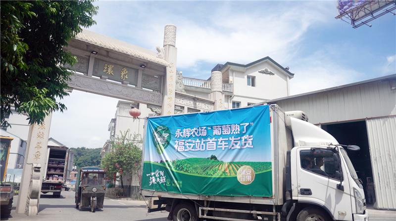 6731顶级游戏·(中国区)官方网站