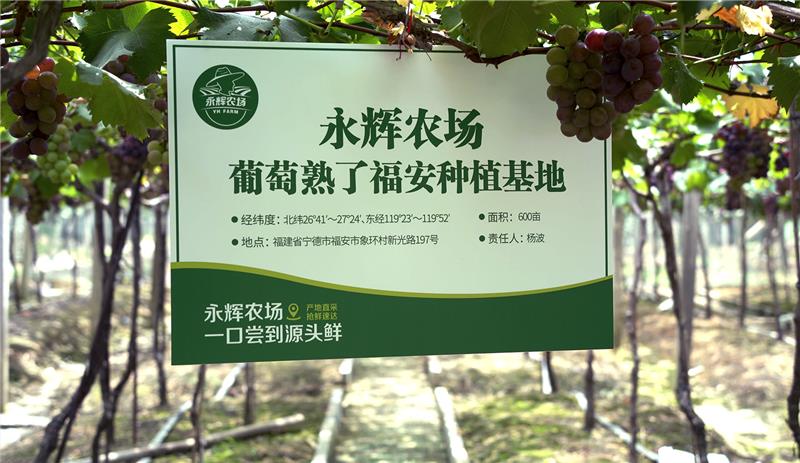 6731顶级游戏·(中国区)官方网站